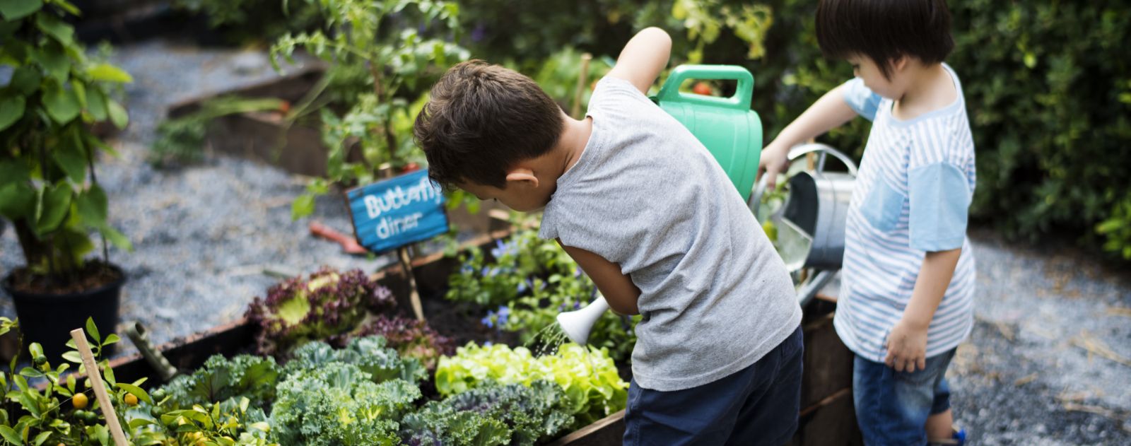 early years nature